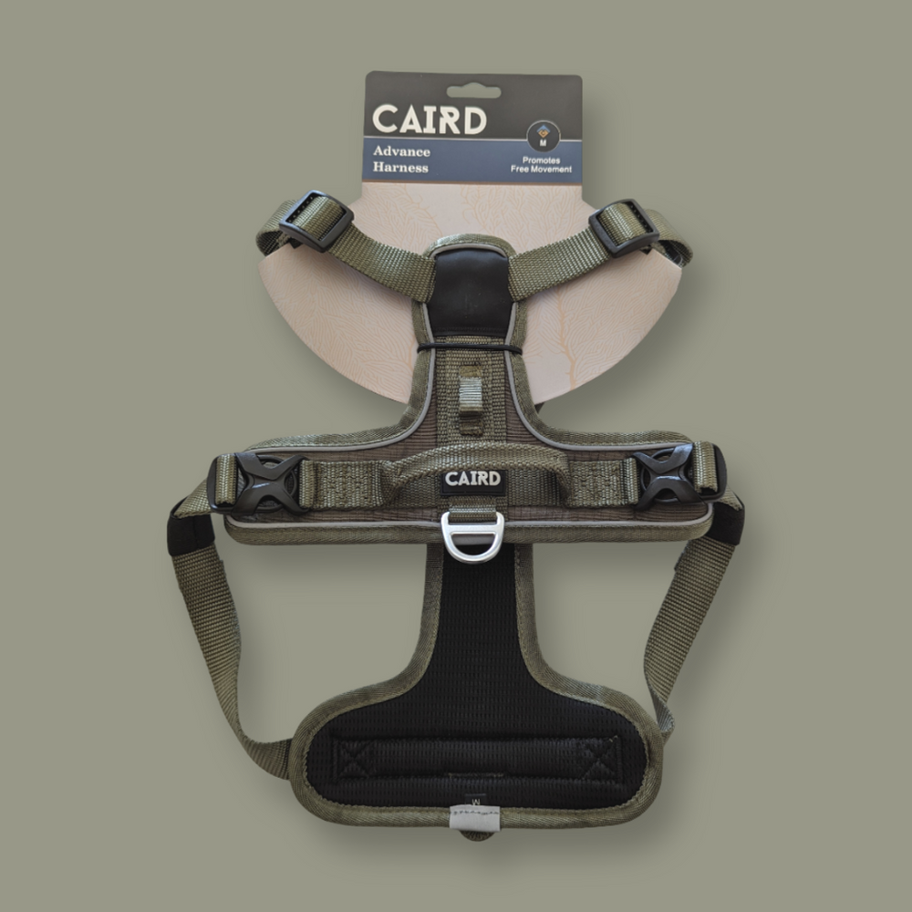 Advance Harness - Khaki