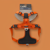 Advance Harness - Orange