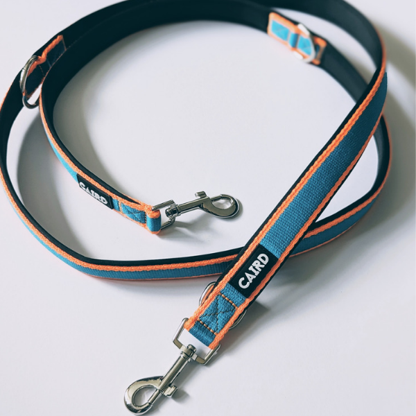 
                  
                    Training Lead - Double Ended - Blue & Orange
                  
                