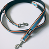 Training Lead - Double Ended - Blue & Orange