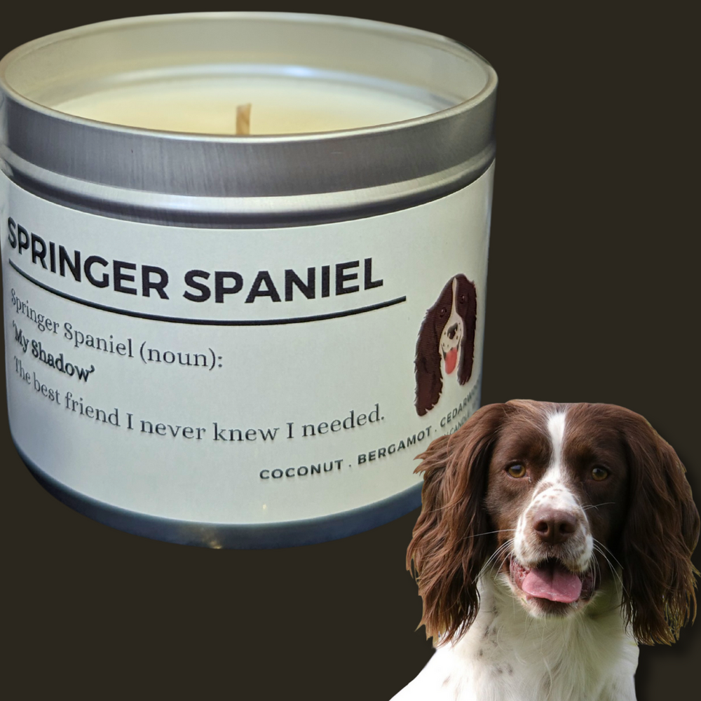 Springer Spaniel Utility Tin Candle