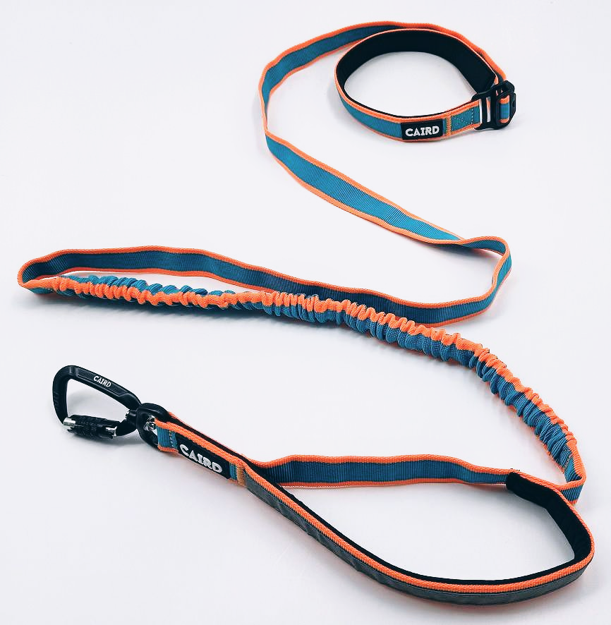 
                  
                    Freedom to Run - Bungee Dog Lead
                  
                