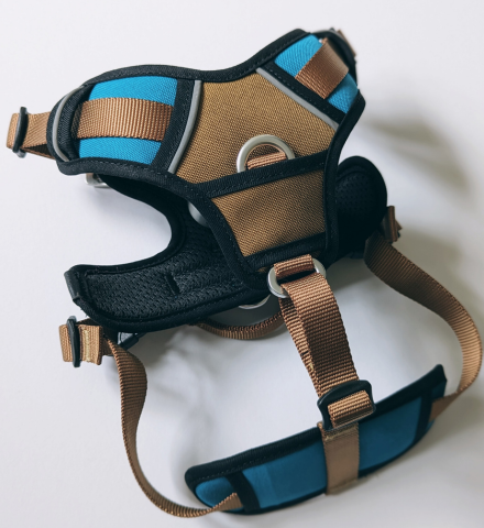 Elevate Harness CAIRD