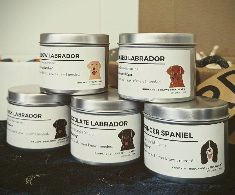 Chocolate Labrador Utility Tin Candle