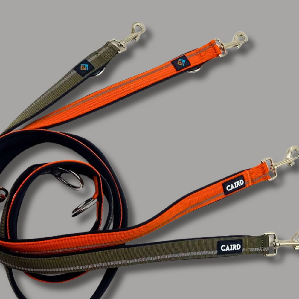 Training Lead - Double Ended - Khaki & Orange