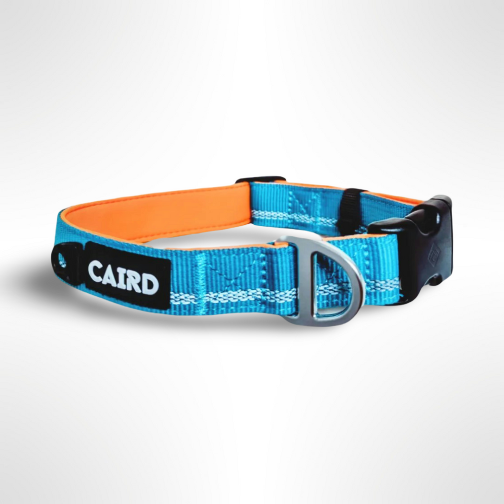 Journey Light Adjustable Collar