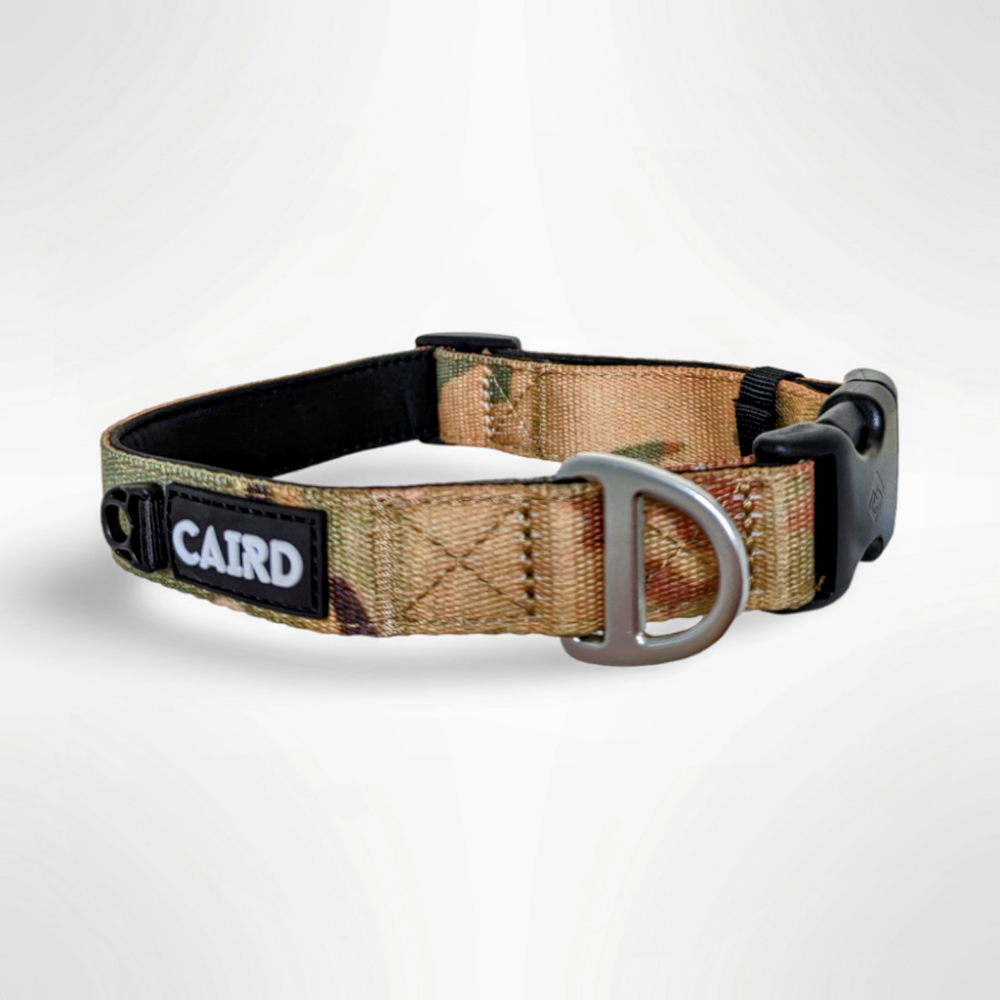 Journey Light Camouflage Collar