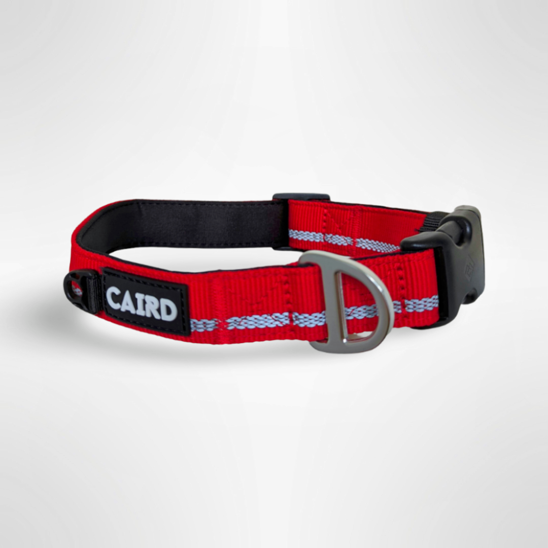 Journey Light Collar - Red